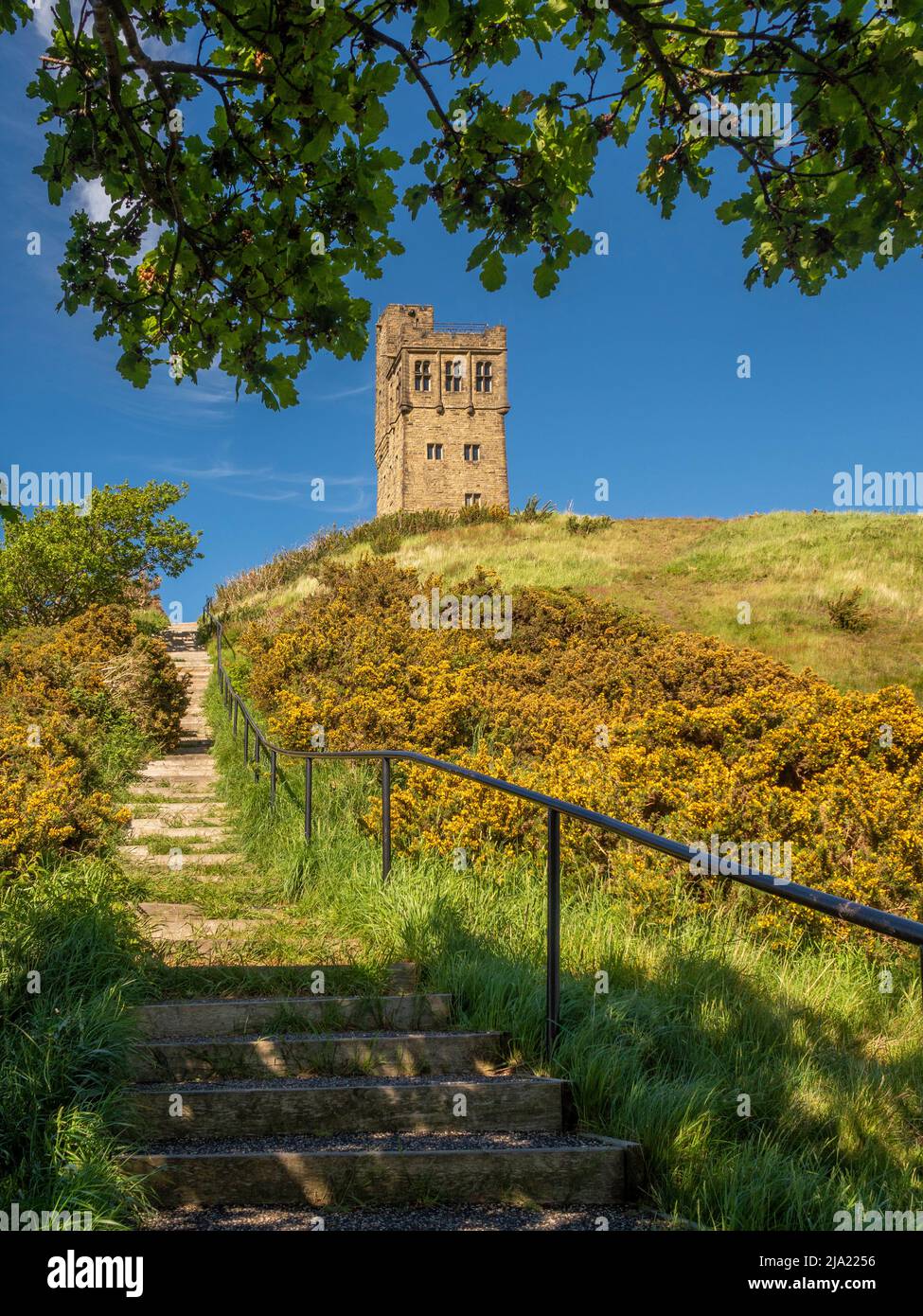 Stufen, die zum Victoria Tower, Castle Hill, führen, umrahmt von dem Baldachin einer Eiche. Huddersfield. West Yorkshire. Stockfoto