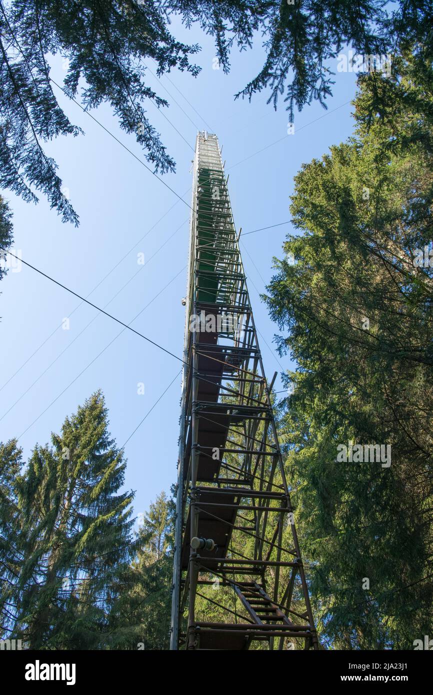 Wissenschaftliche Arbeiten im Nationalpark Eifel, 38 Meter hoher Eddy Covariance Tower für verschiedene Forschungsprojekte, Nationalpark Eifel, Nord Stockfoto