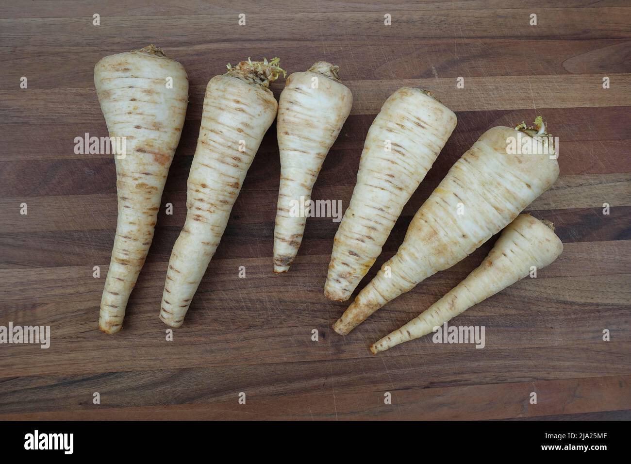 Schwäbische Küche, Zubereitung Petersilienwurzel (Petroselinum crispum subsp. Tuberosum) auf Holzbrett, Wintergemüse, traditionelle Küche Stockfoto