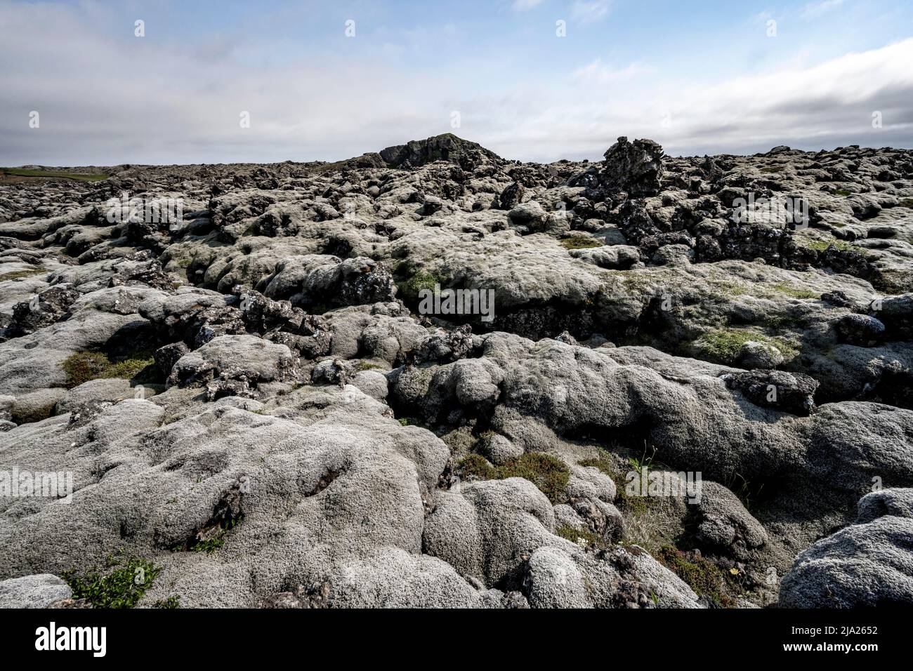 Lavagestein mit Moos überwuchert, Lavafeld, Reykjanes Peninsula, Island Stockfoto