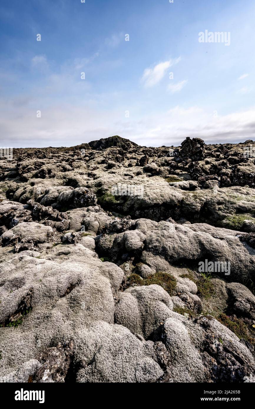 Lavagestein mit Moos überwuchert, Lavafeld, Reykjanes Peninsula, Island Stockfoto
