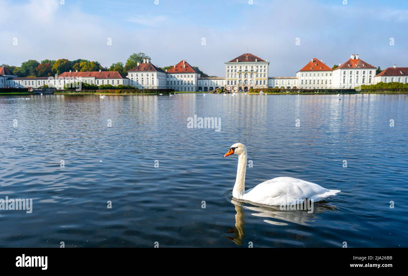 Schwäne schwimmen vor Schloss Nymphenburg, Ostseite, München, Bayern, Deutschland Stockfoto