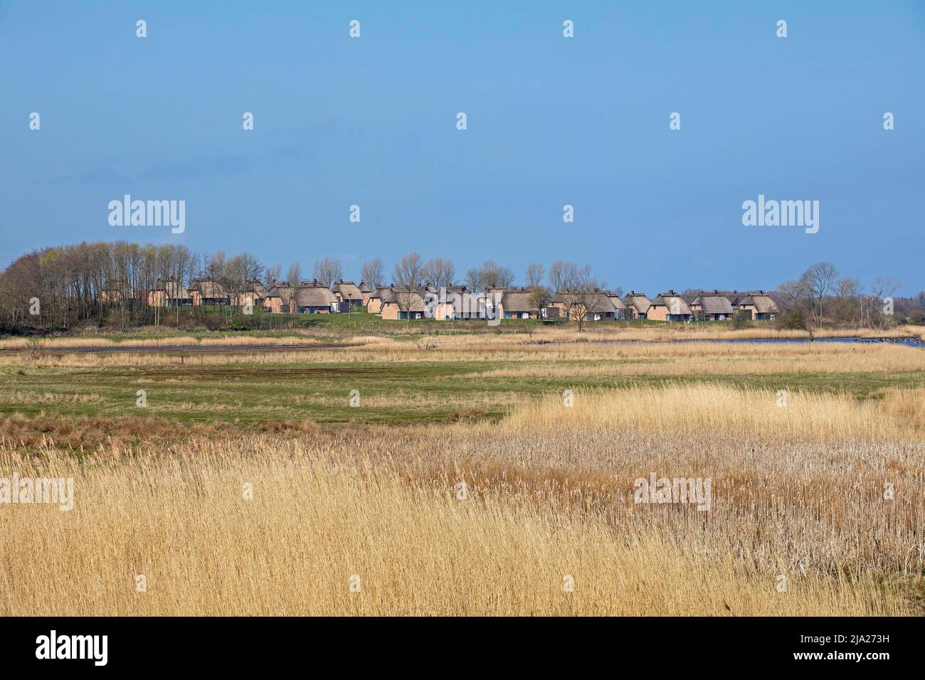 Feriendorf Reetdorf Geltinger Birk, Naturschutzgebiet Geltinger Birk, Geltinger Bucht, Schleswig-Holstein, Deutschland Stockfoto