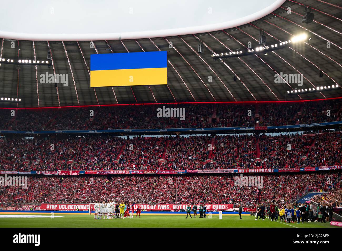 Südkurve, voll, Anzeigetafel in ukrainischen Nationalfarben als Zeichen gegen den Krieg Russland gegen die Ukraine, Allianz Arena, München, Bayern, Deutschland Stockfoto