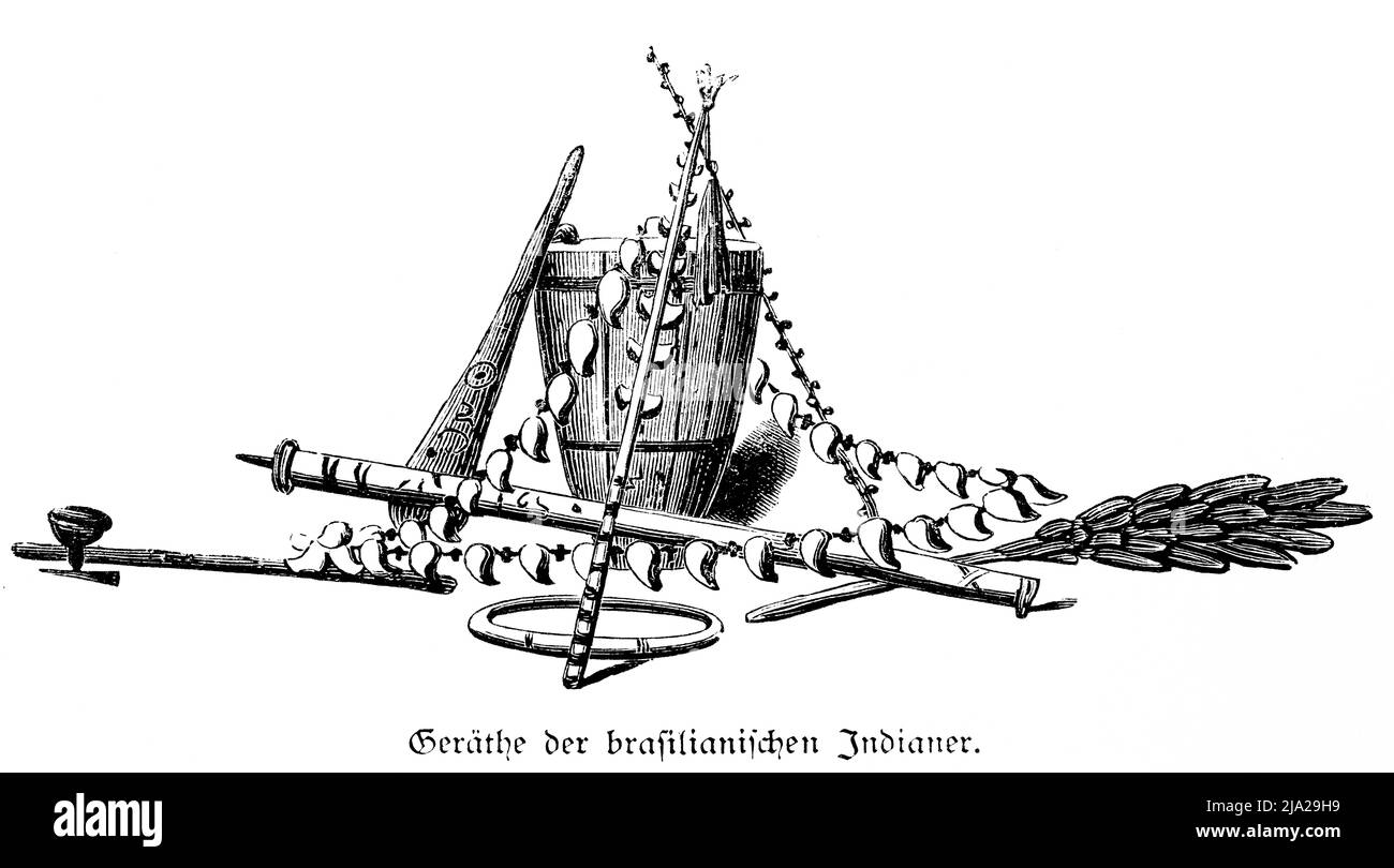 Emblem, Indisch, Trommel, Ring, Muscheln, Kette, Stock, historische Illustration 1881, Brasilien Stockfoto