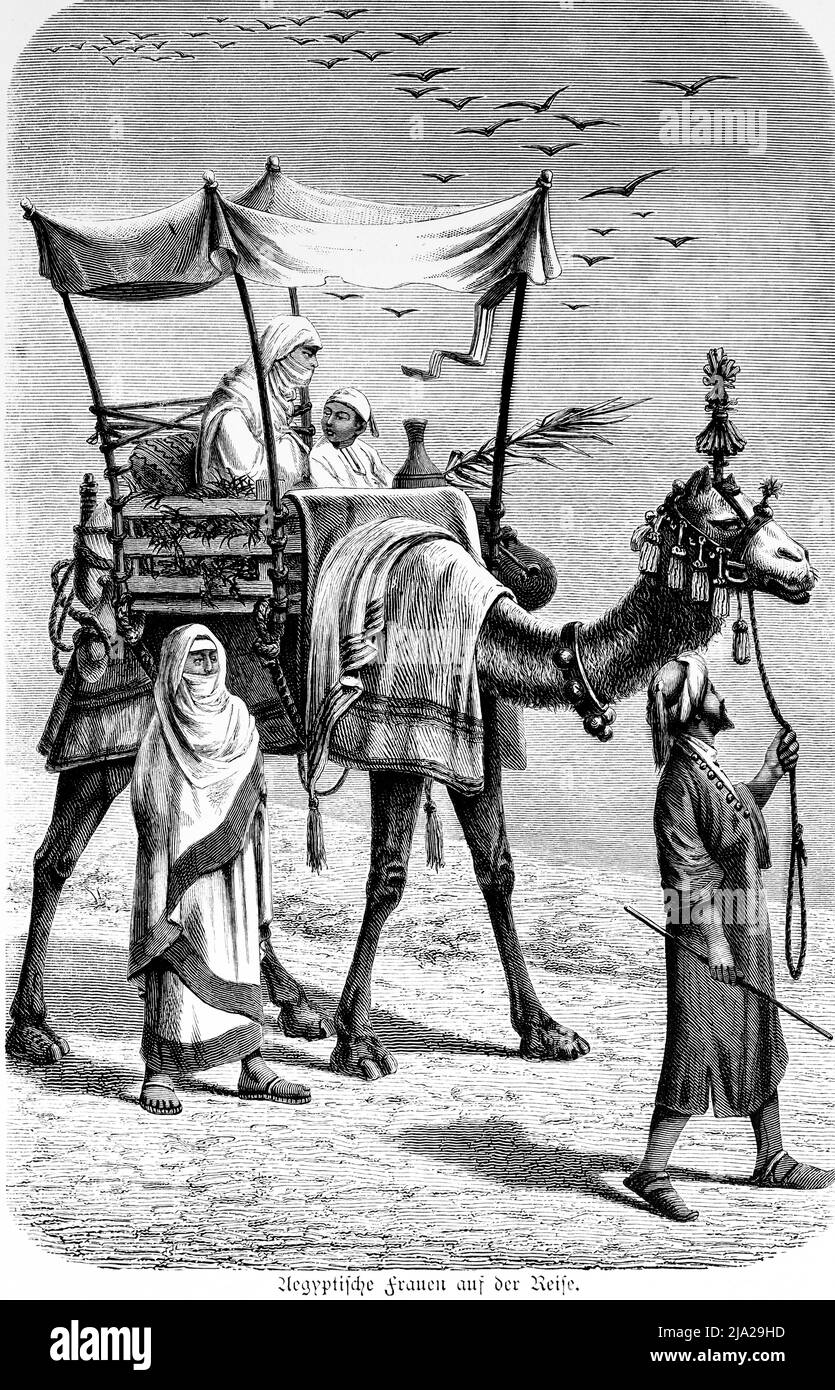 Frau, Kind, Wüste, Zelt, Reise, Sonnenschutz, Eskorte, Tracht, Kamel, historische Illustration 1881, Ägypten Stockfoto