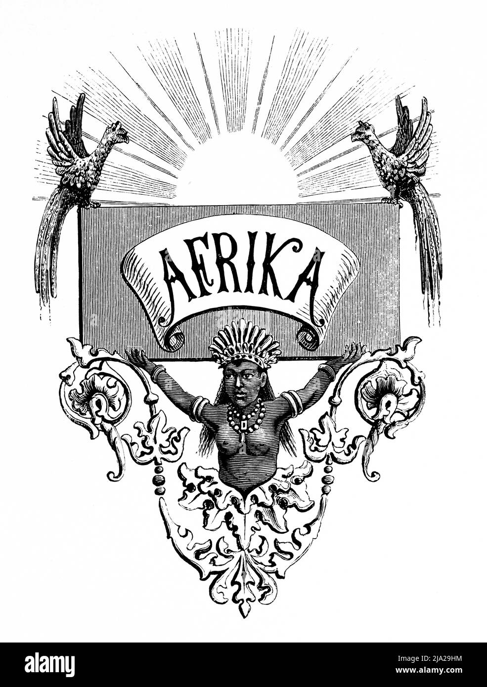 Emblem, Inschrift Frau Vögel, aufgehende Sonne, Ornamente, Kolonialismus, Historische Abbildung 1881 Stockfoto
