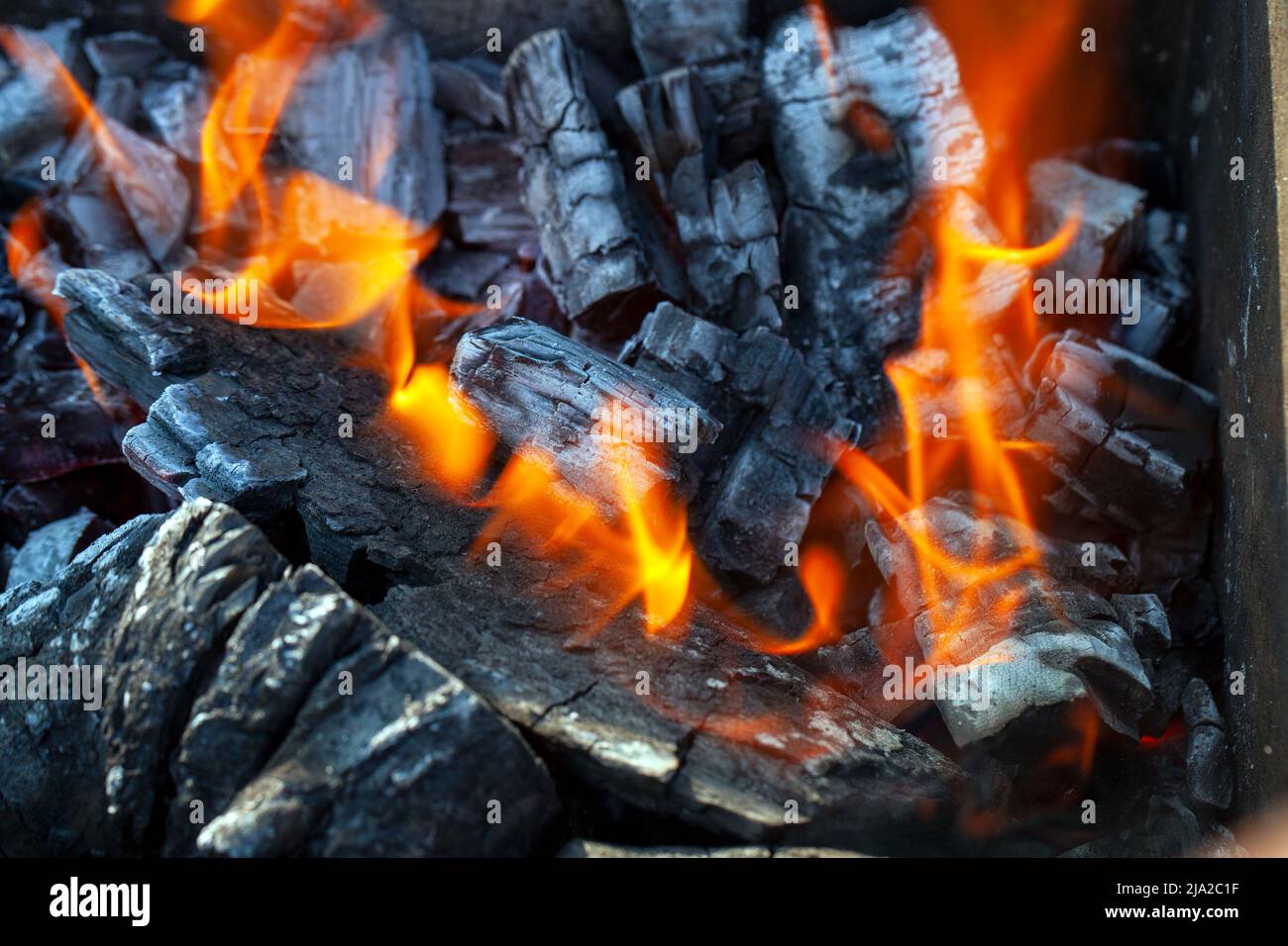 Ein Feuer aus Holzstämmen mit einer hellen Flamme auf einem Campingplatz während des Kochens, eine Flamme des Feuers aus dem Hof, ein Foto mit einer kleinen Schärfentiefe Stockfoto