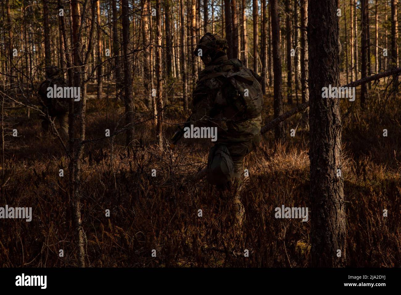 Getarnte US-Armeesoldaten des 4. Squadron, 2D Cavalry Regiment bewegen sich verdeckt durch den Wald des Niinisalo Training Area, Finnland, 4. Mai 2022, während der Übung Arrow 22. Übung Arrow ist eine jährliche, vorgeplante, multinationale Übung, die in Finnland stattfindet, wo Besuchskräfte, darunter die USA, Großbritannien, Lettland, Und Estland trainieren gemeinsam mit den finnischen Verteidigungskräften in intensiven Force-on-Force-Engagements und einer Live-Feuerübung mit dem Ziel, die militärische Bereitschaft zu erhöhen und die Interoperabilität zwischen den teilnehmenden Partnerländern zu entwickeln. (USA Armee-Foto von SPC Stockfoto
