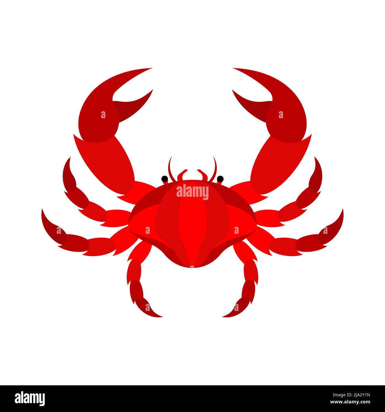 Krabbe isoliert. Seekrebs. Seetier Vektor-Illustration Stock Vektor