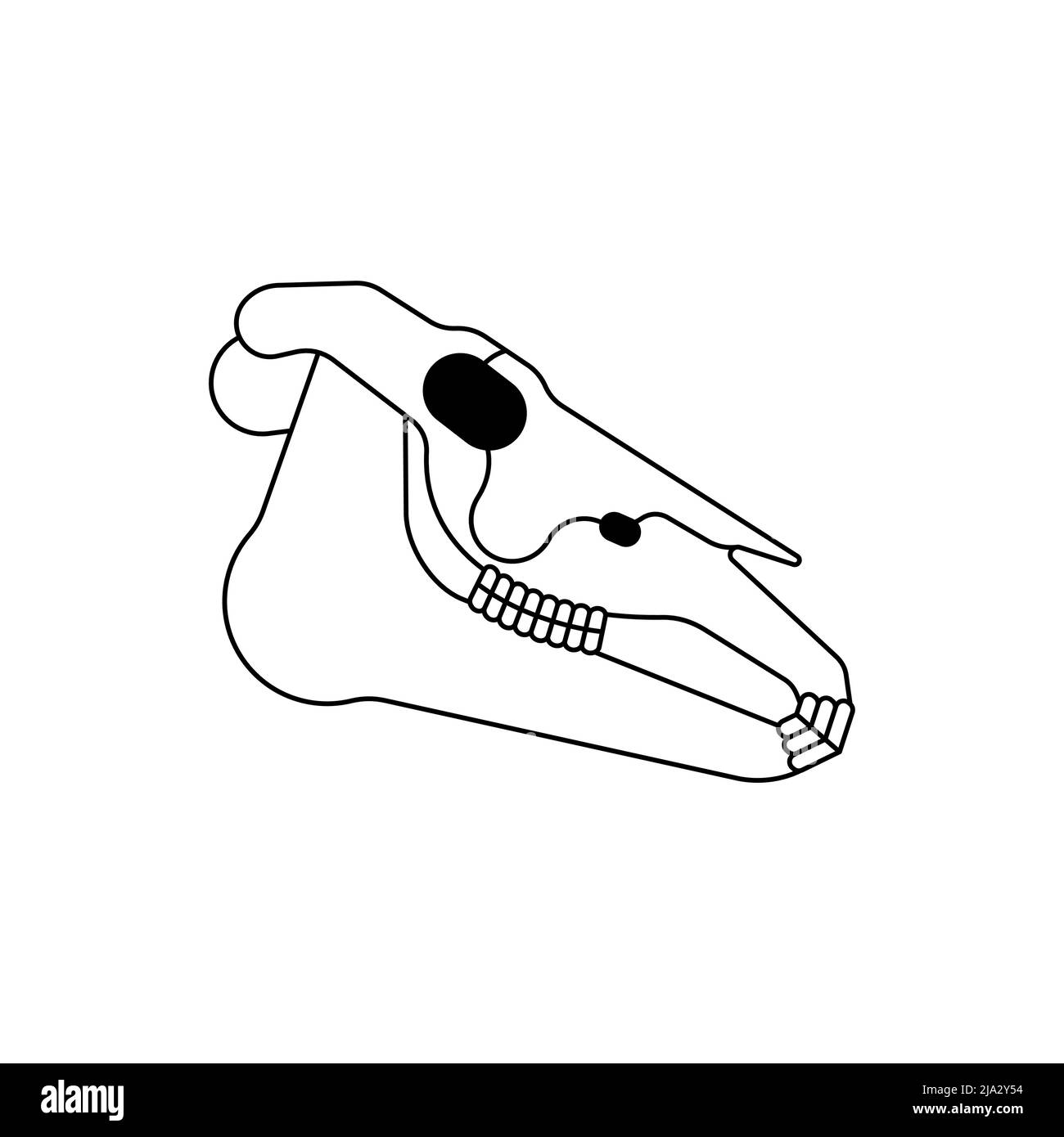 Pferdeschädel isoliert. Pferdekranium Vektor-Illustration Stock Vektor