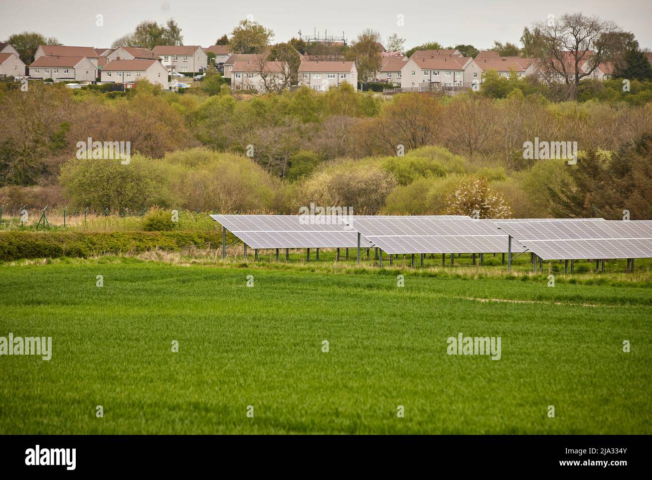 Sonnenkollektoren in einem Feld am Rande einer Wohnanlage Stockfoto