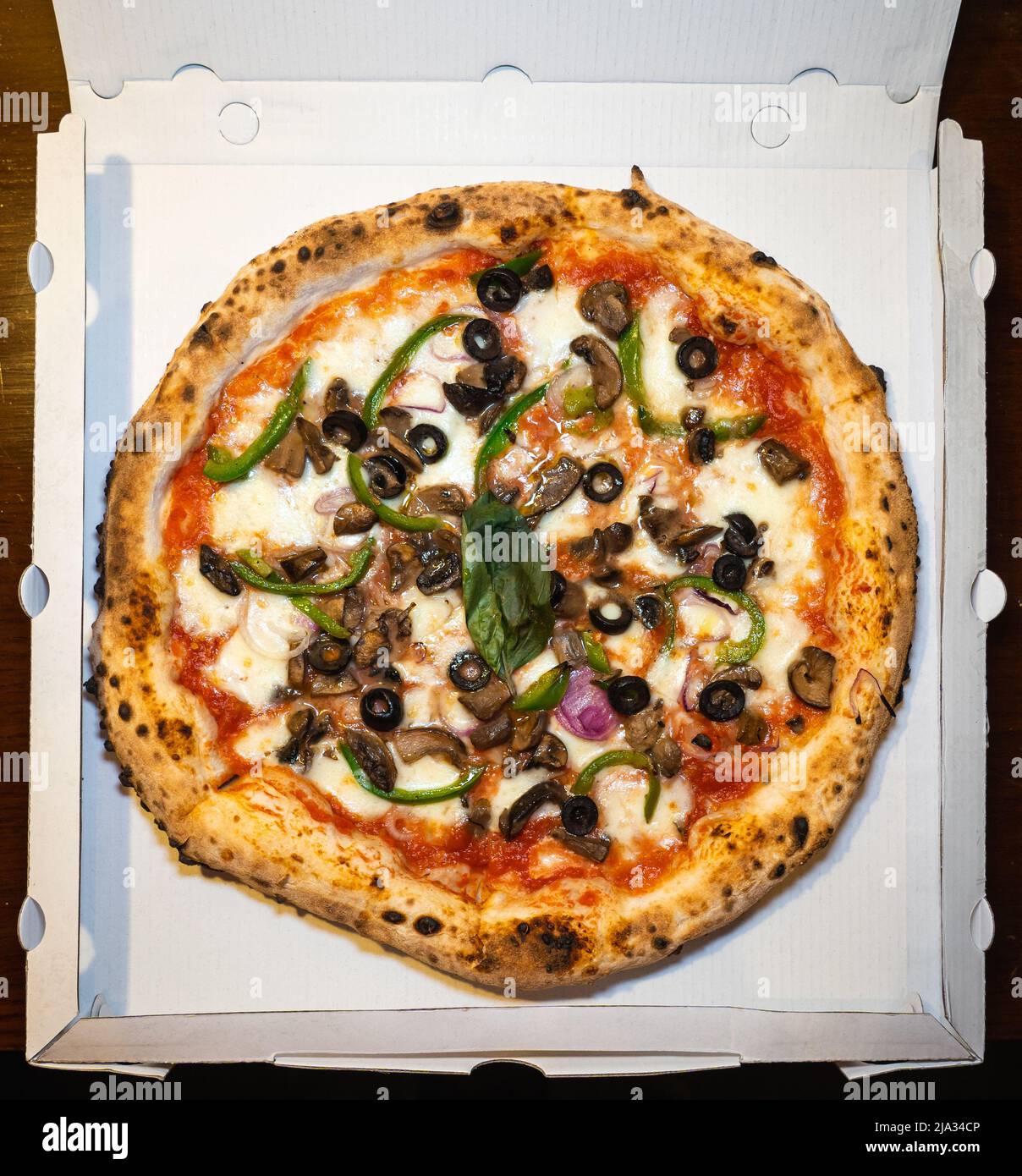 Eine vegetarische neapolitanische Pizza mit Pilzen, schwarzen Oliven, grünen Paprika, Zwiebeln, Mozzarella-Käse in einer weißen Pizzabox. Stockfoto