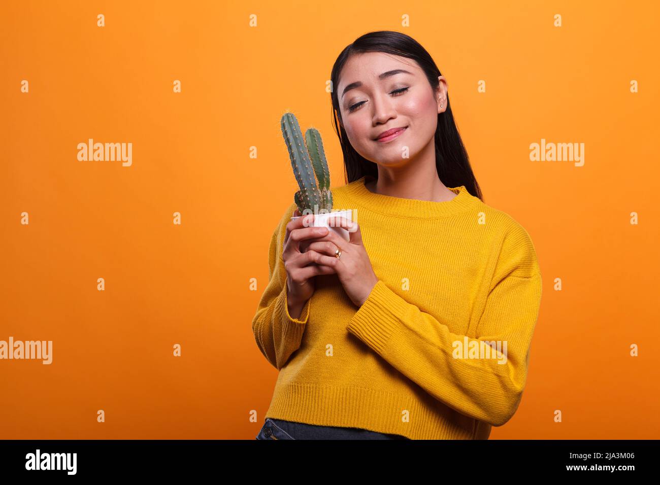 Positive lächelnde herzhaft asiatische Frau trägt gelben Pullover und hält Kaktuspflanze in den Händen. Attraktive schöne junge Erwachsene Person, die Glück und Fröhlichkeit auf orangefarbenem Hintergrund ausdrückt. Stockfoto
