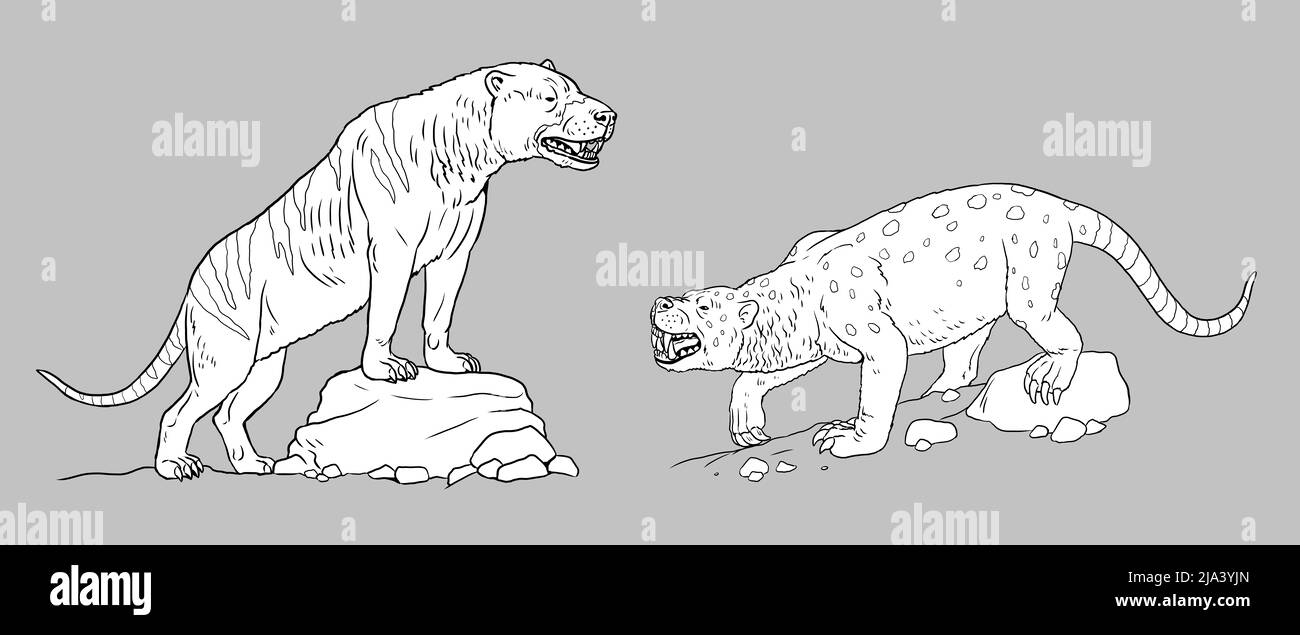 Prähistorische Raubtiere - Megistotherium und Sarkastodon. Zeichnung mit ausgestorbenen Tieren. Silhouette Zeichnung für zum ausmalen. Stockfoto