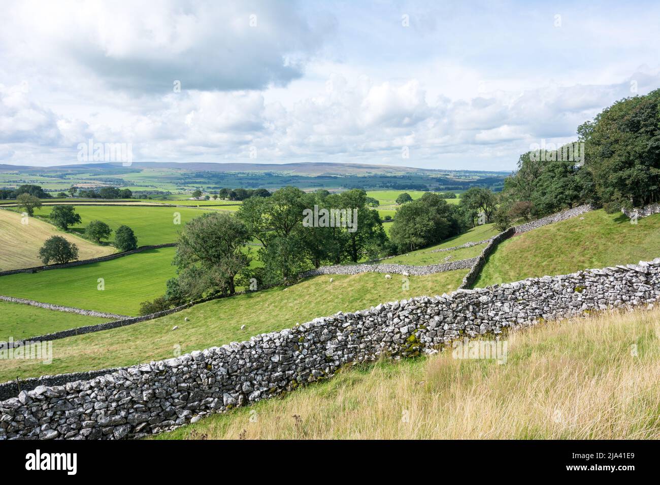 Ein angenehmer Blick über die Felder von Yorkshire. Aufgenommen während des Spazierens auf dem Dales High Way. Stockfoto