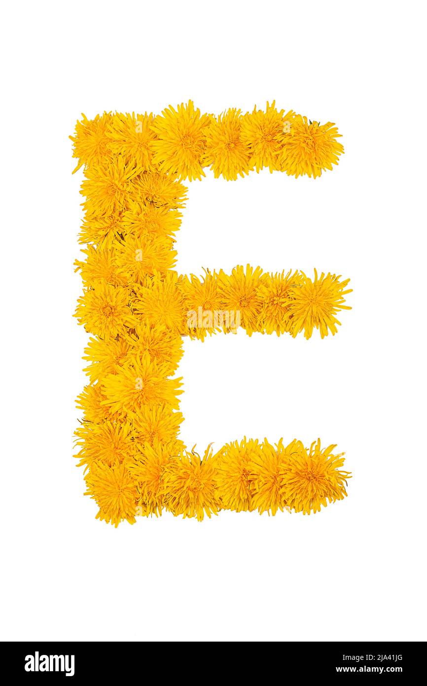Das englische Alphabet der Dandelionblüten ist auf einem weißen Hintergrund isoliert. Buchstabe E Stockfoto