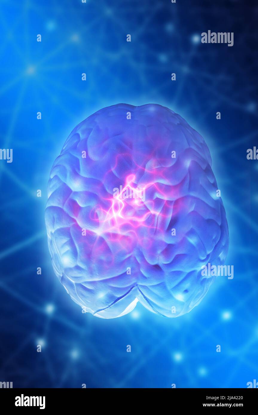 Menschliches Gehirn und elektrische Wellen, Konzept für Neurowissenschaften und Hirnneurologie Stockfoto