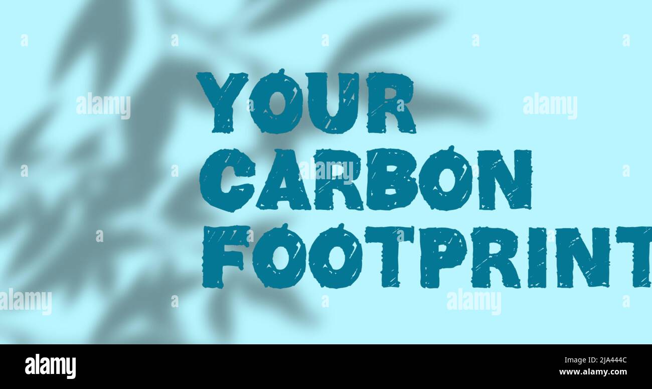Bild Ihres CO2-Fußabdrucks Text über Schatten von Pflanzen auf grünem Hintergrund Stockfoto