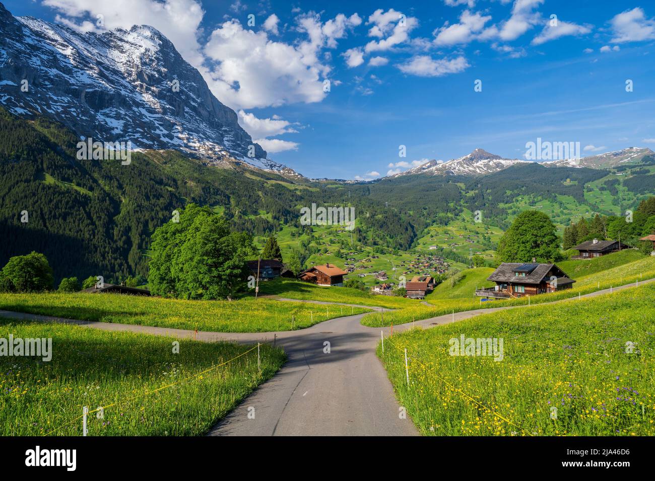 Malerische Sommerberglandschaft, Grindelwald, Kanton Bern, Schweiz Stockfoto