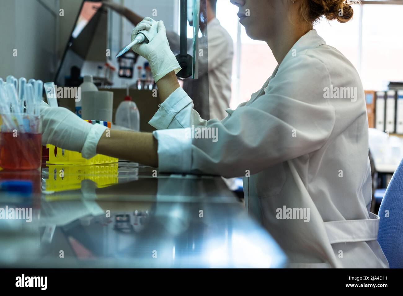 Junge Forscherin, die in Handschuhen und Laborgewand im Strömungsschrank arbeitet, verwendet automatische Pipetten und Röhrchen mit Zellen und Chemikalien Stockfoto