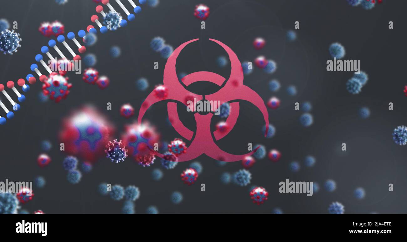 Abbildung von Viruszellen über dna, Biohazard-Symbol und schwarzem Hintergrund Stockfoto