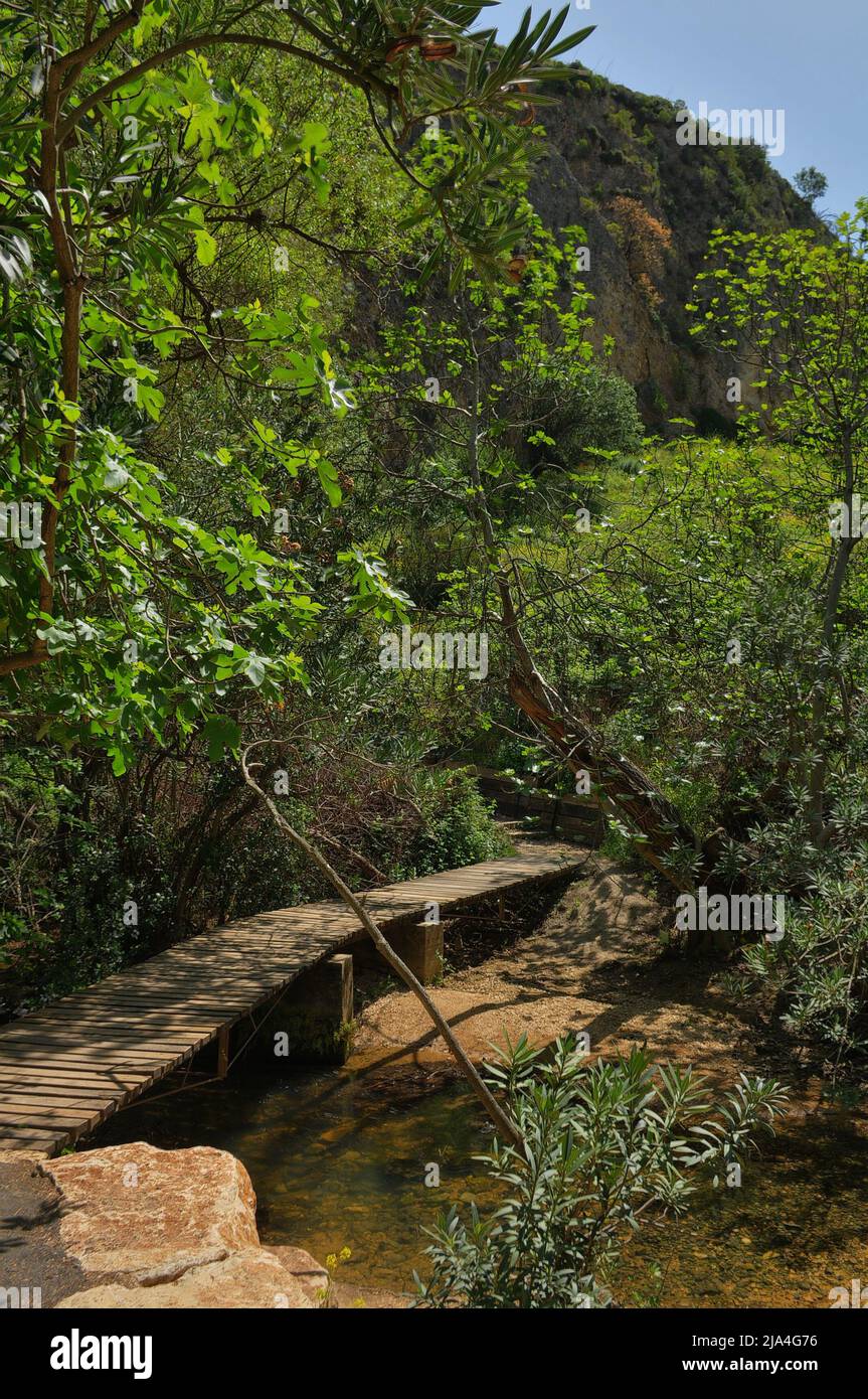 Ayun River Nature Reserve im Norden Israels Stockfoto