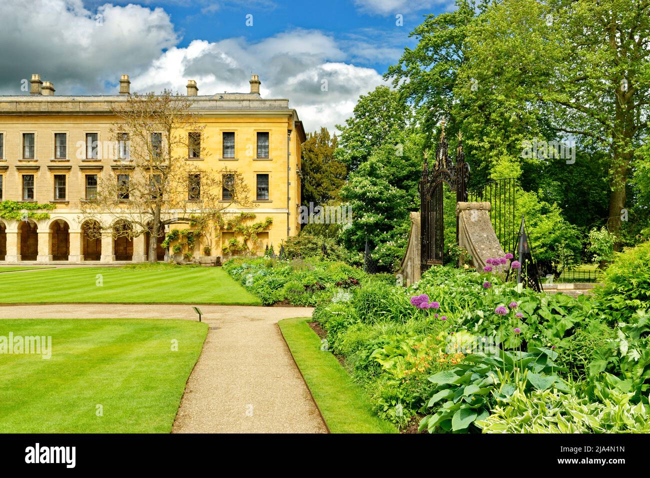 OXFORD CITY ENGLAND MAGDALEN COLLEGE DAS NEUE GEBÄUDE EMPRESS BAUM BLUMENBEETE UND RASENFLÄCHEN IM FRÜHJAHR Stockfoto
