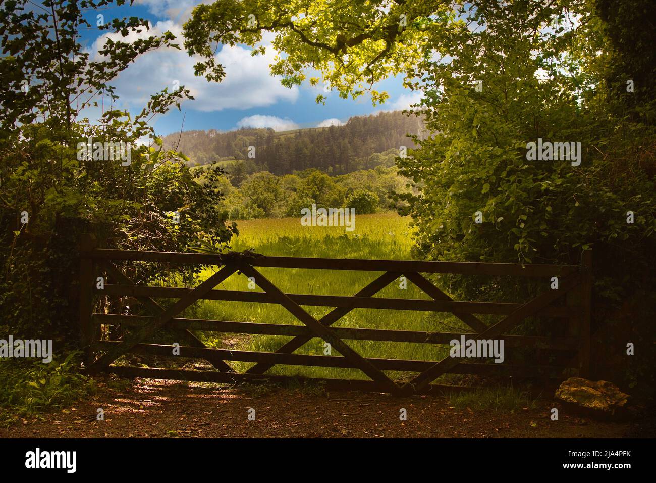Blick durch ein fünf-Balken-Tor auf eine englische, spiralförmige Wiese mit dem Bild, das von Bäumen im Blatt umrahmt wird Stockfoto