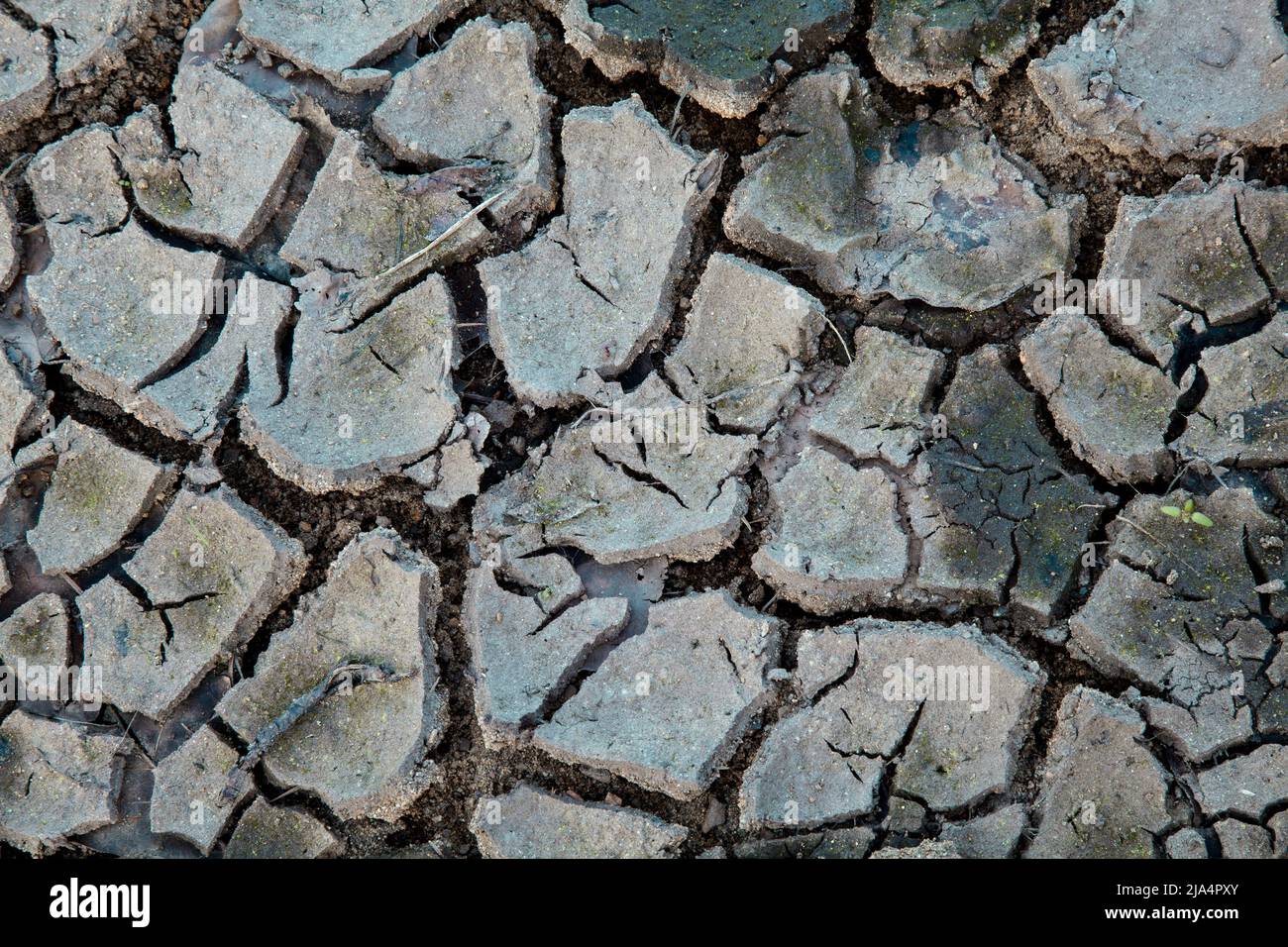 Trockene Schlammflugzeuge am Fuße des Ladybower Reservoir nach einem trockenen Sommer, Peak District UK Stockfoto