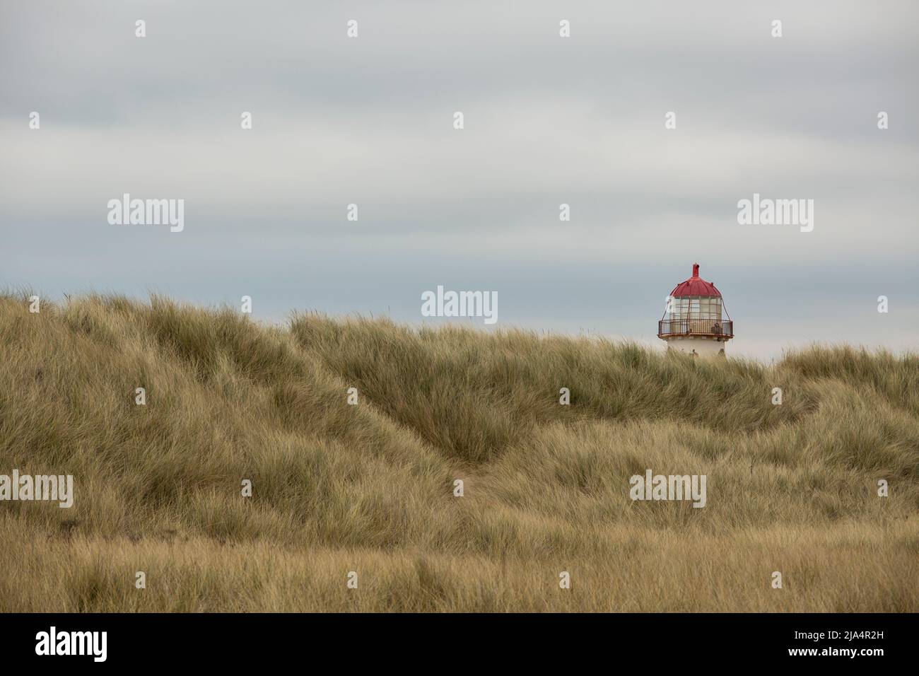 Die rote Spitze und das Licht des Leuchtturms von ayr, die über die mit Marram bedeckten Sanddünen am Talacre-Strand gucken Stockfoto