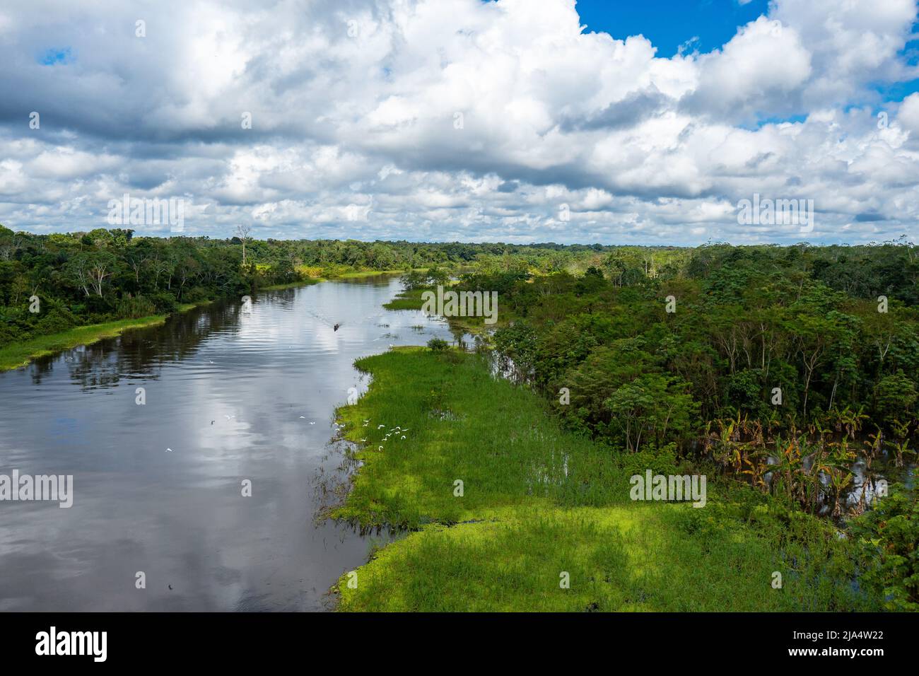 Peru. Luftaufnahme von Rio Yanayacu. Blick von oben auf den Regenwald des Amazonas, in der Nähe von Iquitos, Peru. Südamerika. Stockfoto