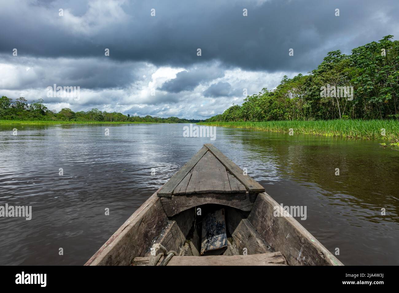 Amazon Rainforest Riverbank. Segeln Sie den Fluss Yanayacu entlang im Amazonasdschungel, in der Nähe von Iquitos, Peru. Südamerika. Stockfoto