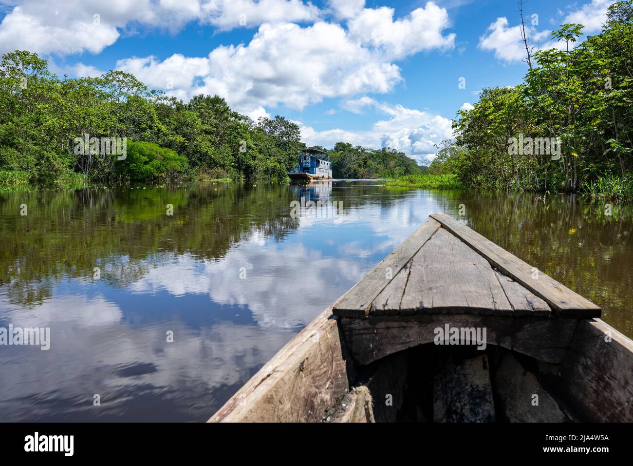 Amazon Rainforest Riverbank. Segeln Sie den Fluss Yanayacu entlang im Amazonasdschungel, in der Nähe von Iquitos, Peru. Südamerika. Stockfoto