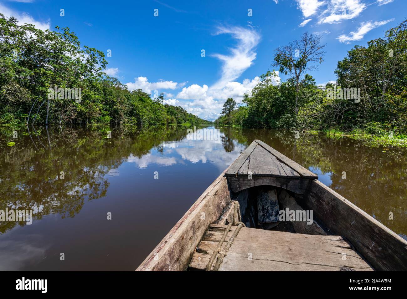 Amazon Rainforest Riverbank. Segeln Sie den Fluss Yanayacu entlang im Amazonasdschungel, in der Nähe von Iquitos, Peru. Südamerika. Stockfoto