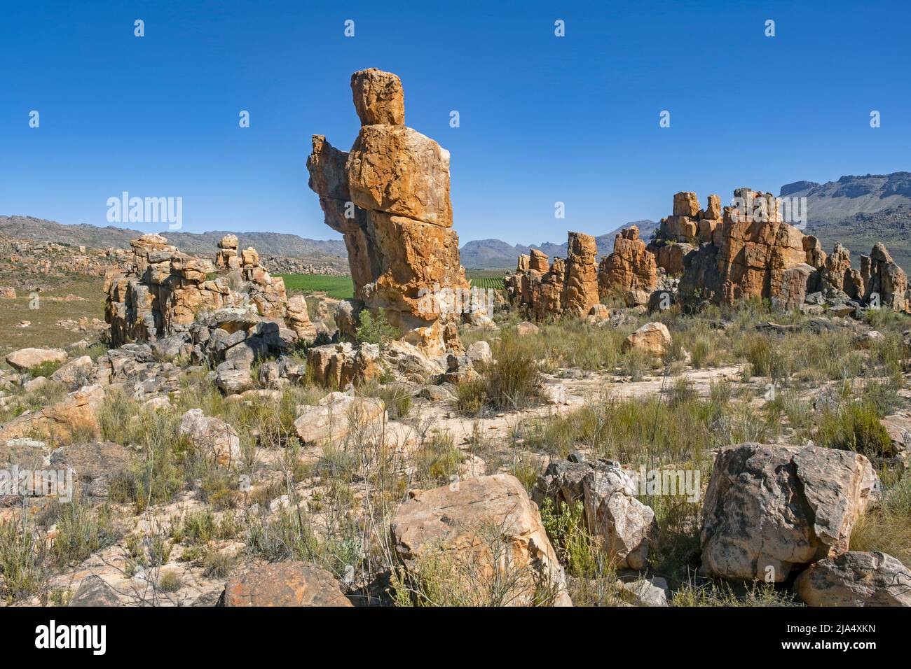 Sandsteinfelsen auf dem Lot's Wife Wanderweg in Dwarsrivier, Cederberg Mountains in der Nähe von Clanwilliam, Western Cape, Südafrika Stockfoto
