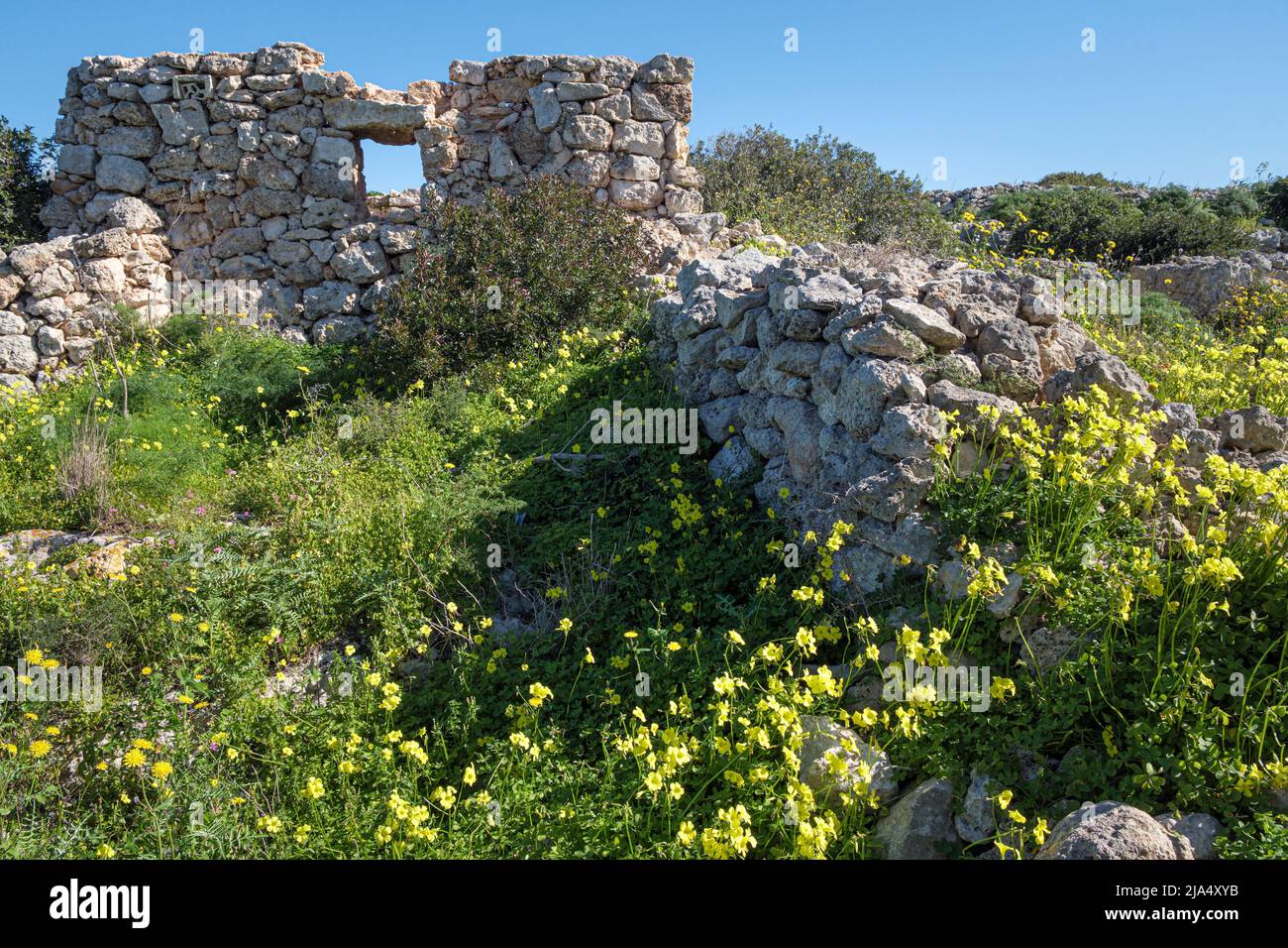 Überreste einer Steinhütte auf dem Xemxija Heritage Trail, Bajda Ridge, Xemija, St. Paul's Bay, Malta Stockfoto