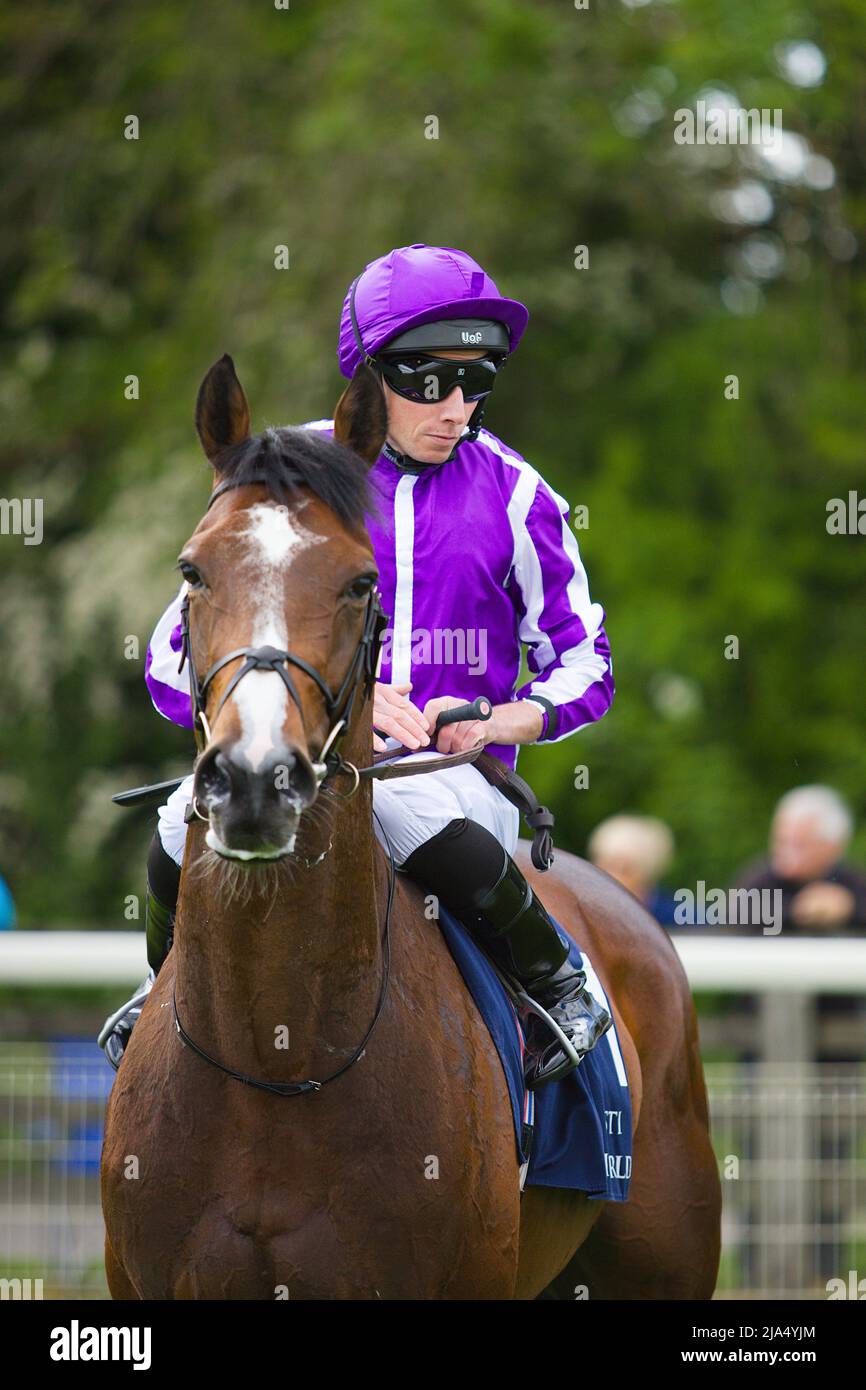 Jockey Ryan Moore auf Bluegrass bei York Races. Stockfoto