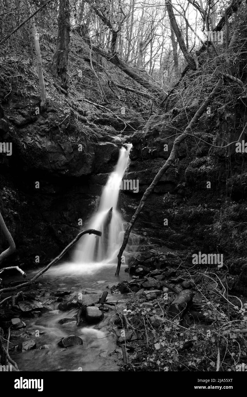 Letzter Wasserfall auf dem Nant Rhyd y Gau. Etwa 10 Meter hoch. Stockfoto