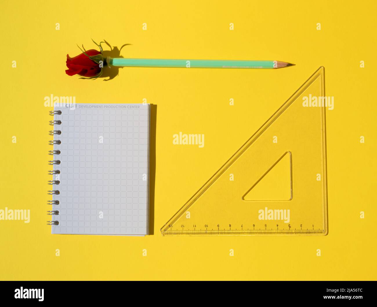 Ein Schulbuch und ein Bleistift mit einer roten Rose auf gelbem Hintergrund. Minimaler Geschäftsinus-Ansatz. Stockfoto