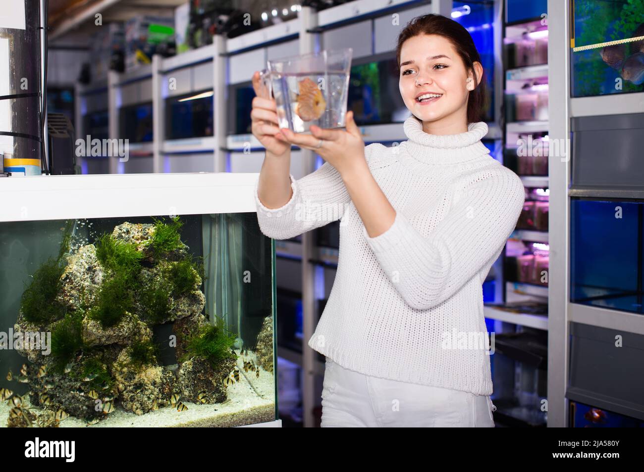 Mädchen hält Kunststoff-Container mit großen bunten Fischen Rasse Discus im Aquarium Shop Stockfoto