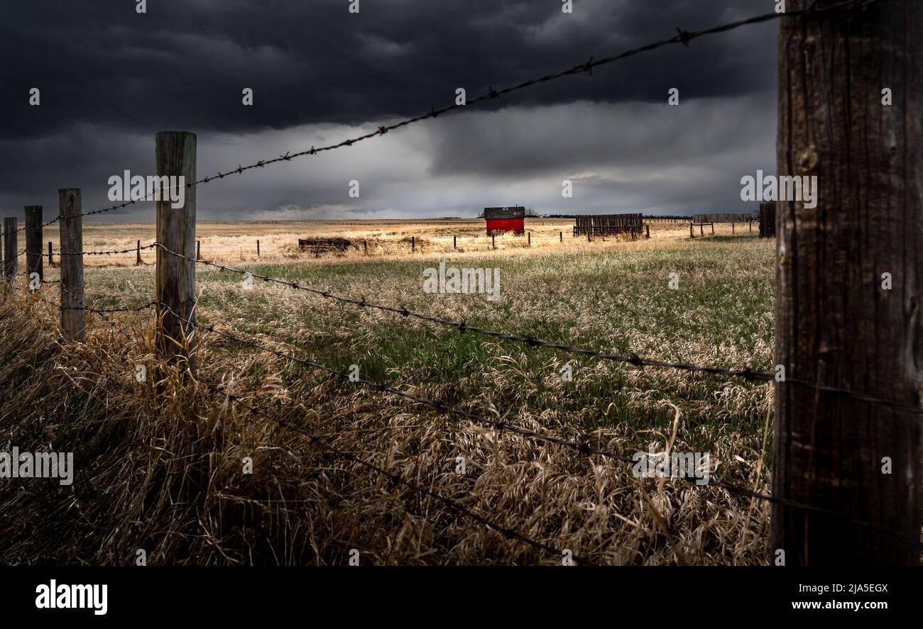Auf den kanadischen Prärien bildet sich ein Sturm mit einem entfernten alten Schuppen und Stacheldrahtzaun unter düsterer launischer Beleuchtung in Rocky View County Alberta Canada Stockfoto