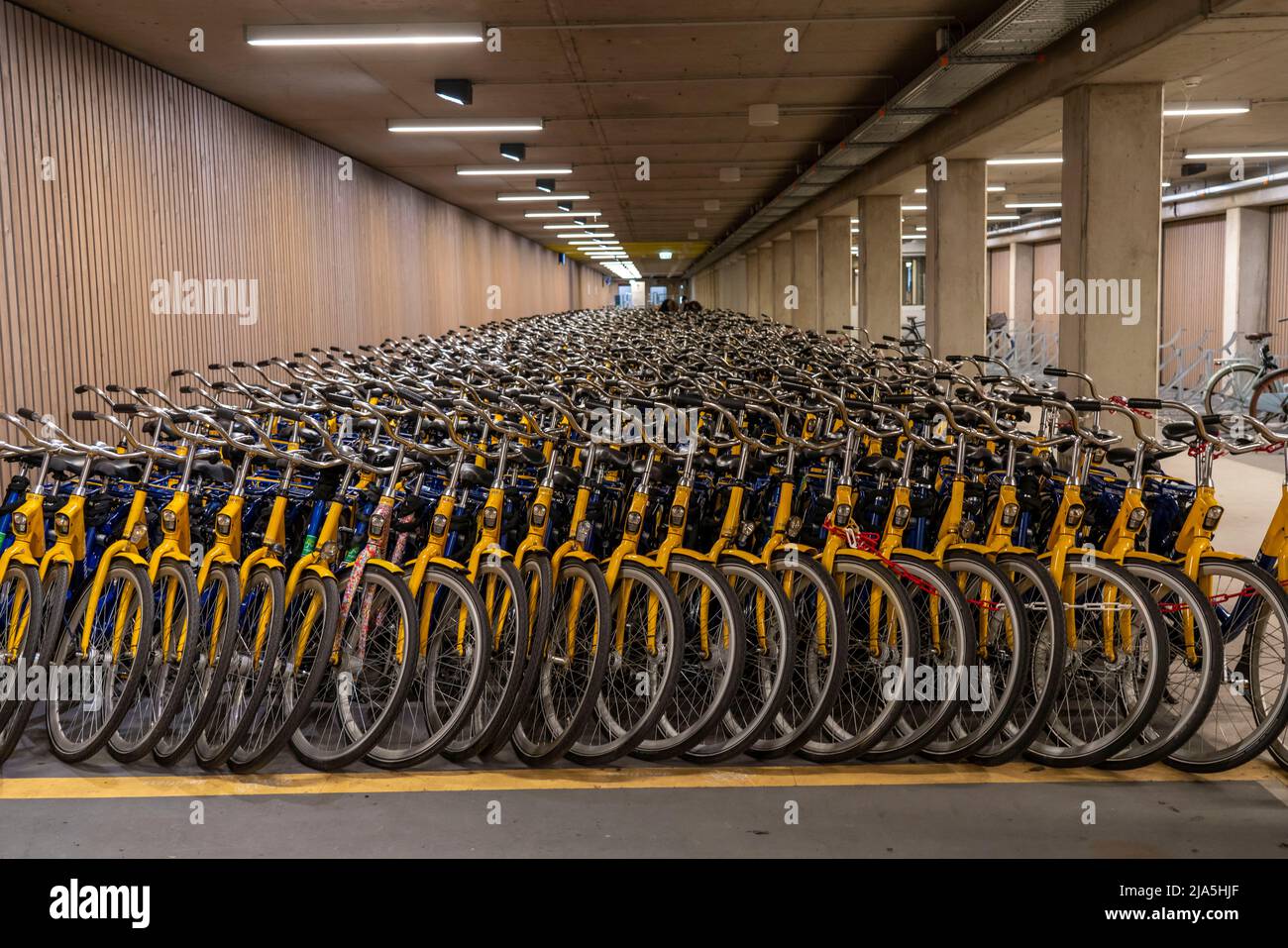 Fahrräder am OV-Fiets-Verleihbahnhof, im Utrecht Hauptbahnhof, Hunderte von Leihfahrrädern warten darauf verwendet zu werden, bieten die Niederländischen Eisenbahnen NS, für Kunden, niedrig Stockfoto