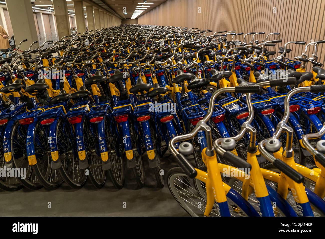 Fahrräder am OV-Fiets-Verleihbahnhof, im Utrecht Hauptbahnhof, Hunderte von Leihfahrrädern warten darauf verwendet zu werden, bieten die Niederländischen Eisenbahnen NS, für Kunden, niedrig Stockfoto