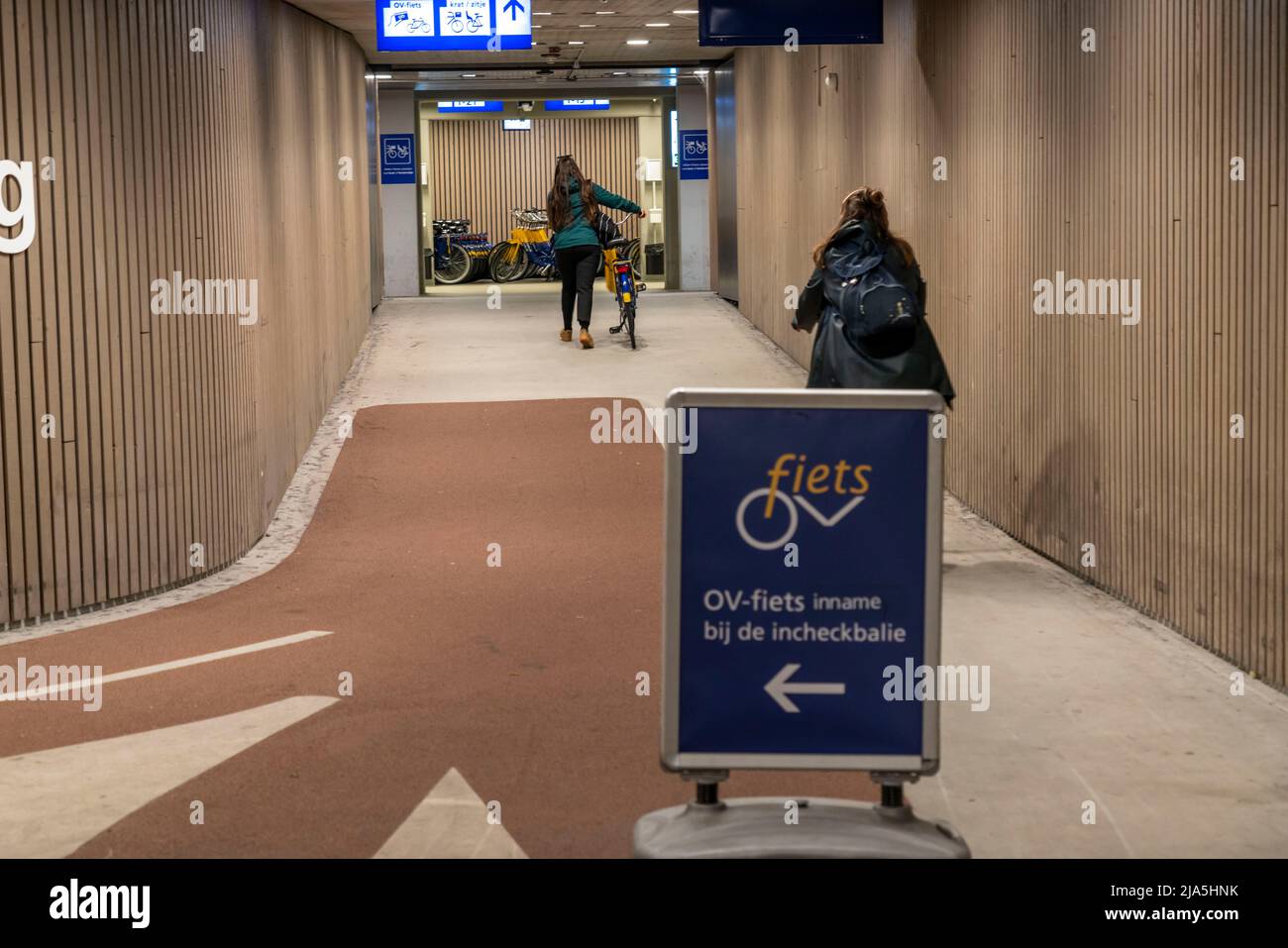 Fahrräder am OV-Fiets-Verleihbahnhof, im Utrecht Hauptbahnhof, Hunderte von Leihfahrrädern warten darauf verwendet zu werden, bieten die Niederländischen Eisenbahnen NS, für Kunden, niedrig Stockfoto