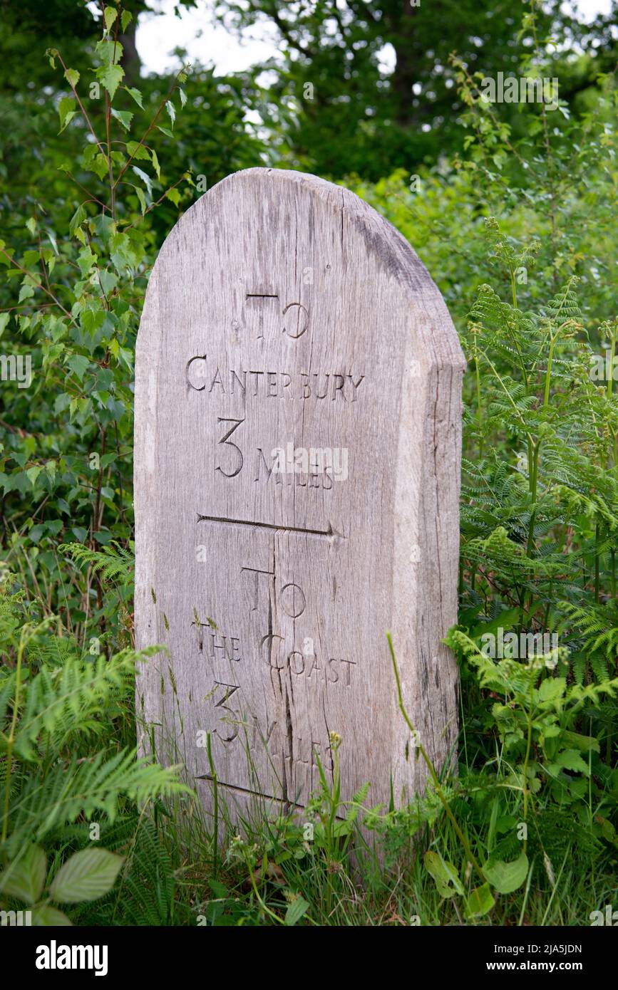 Ein Wegweiser entlang des Radfall-Pfades, der 3 Meilen nach Canterbury und 3 Meilen zur Küste in West Blean Woods, Kent, zeigt Stockfoto