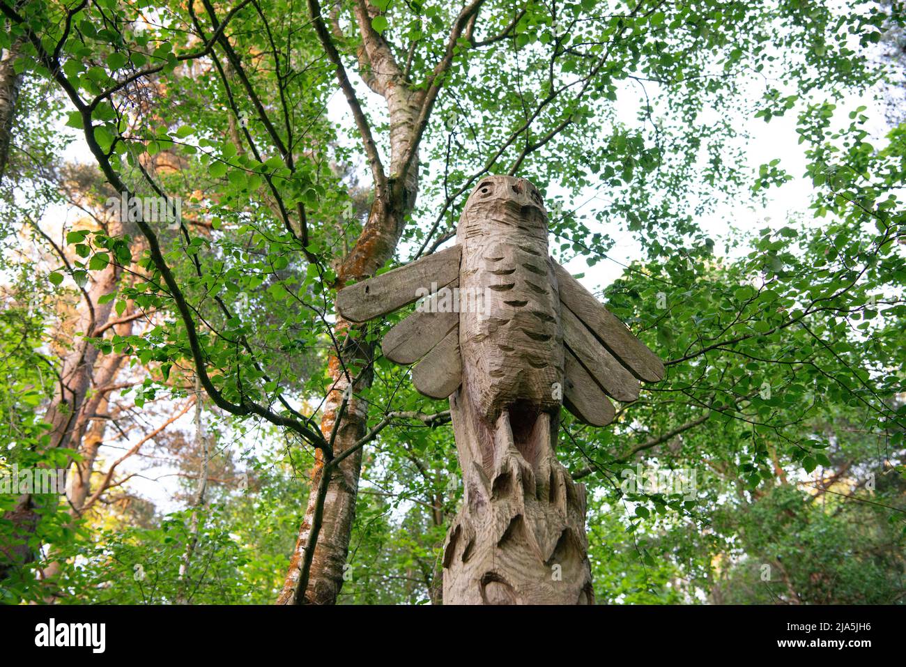 Geschnitzte hölzerne Totems auf dem Art Trail im West Blean Nature Reserve und Thornden Woods in Kent, England, Großbritannien Stockfoto