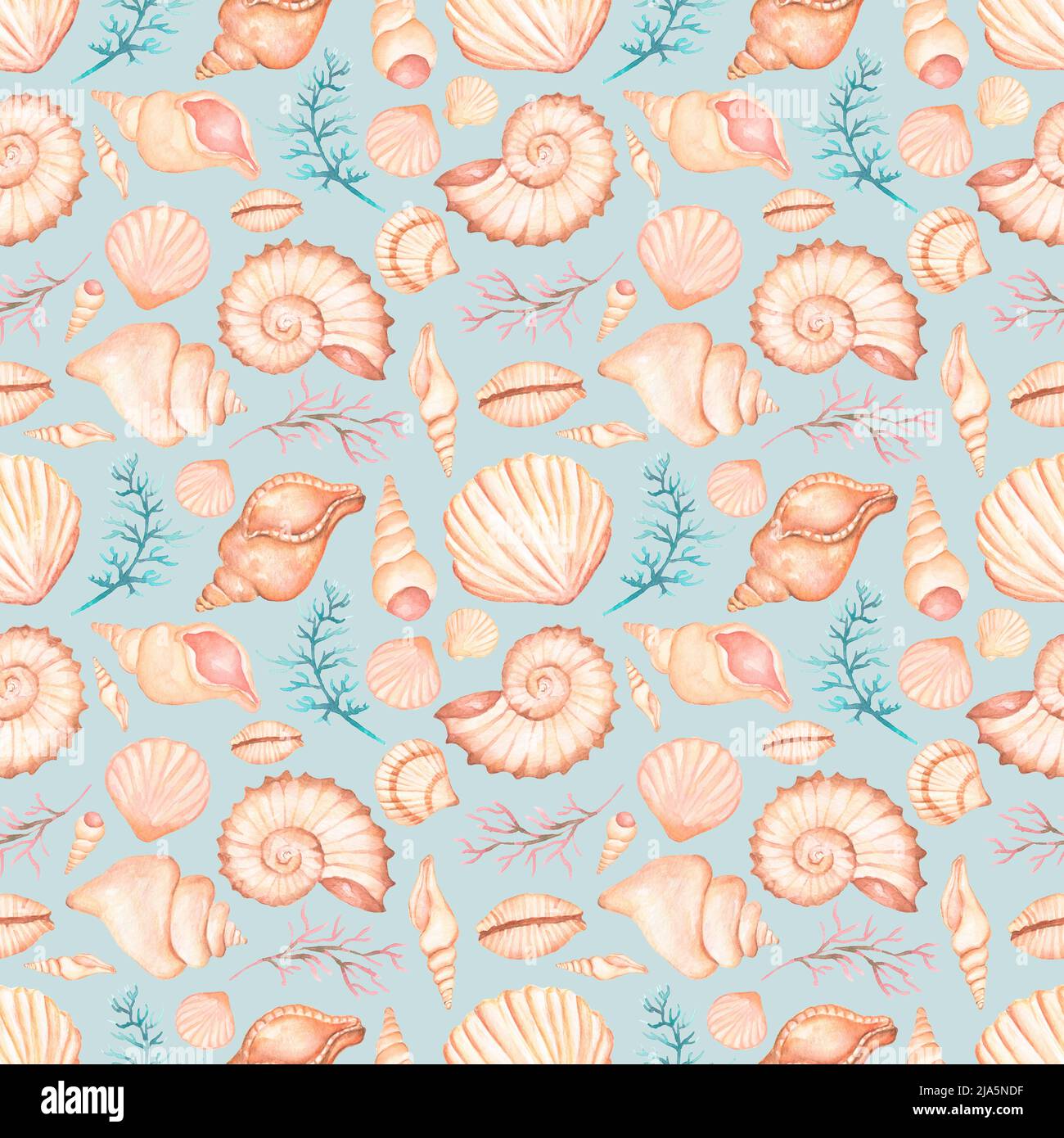 Aquarell Muscheln nahtlose Muster, handgezeichnete Sommer ocen Dekor wiederholen Papier, Muscheln Scrapbook Papier. Stockfoto