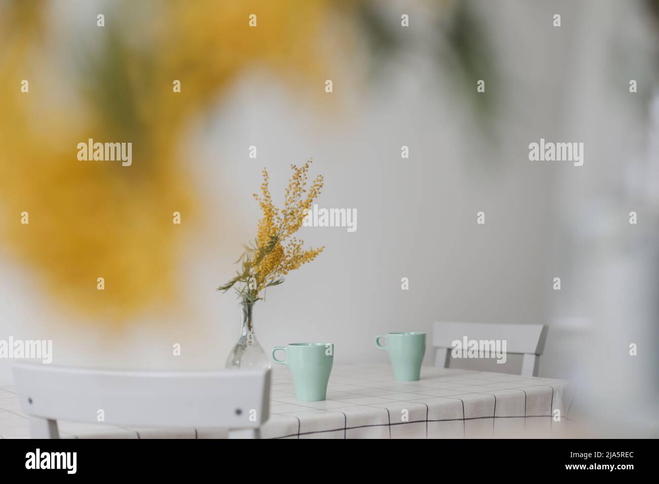 Frühlingsblumen-Mimosen auf dem Küchentisch Stockfoto