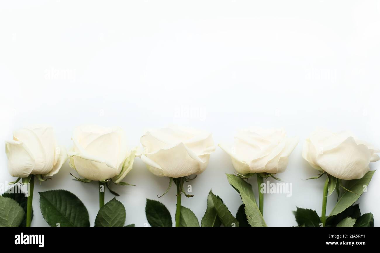 Blumenzusammensetzung. Rahmen aus weißen Blumen auf weißem Hintergrund. Valentinstag, Muttertag und Frauentag Konzept Stockfoto